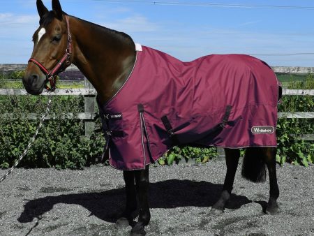 Whitaker Turnout Rug Thistle 100Gm Plum Sale