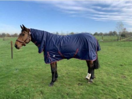 JHL Essential Medium Weight Combo Turnout Rug - Navy Burgundy Sale