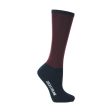 Coldstream Pawston Performance Socks (Single Pack)  - Adult 4-8 For Sale