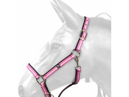 W-Horse Headcollar Harvey Fashion